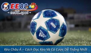 Kèo Châu Á – Cách Đọc Kèo Và Cá Cược Dễ Thắng Nhất